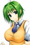  1girl aqua_eyes big_wednesday blue_eyes breasts comic_party green_hair hentai looking_at_viewer oba_eimi ooba_eimi school_uniform serafuku short_hair smile solo 