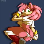 amy_rose mel_the_hybrid sega sonic_(series) sonic_team