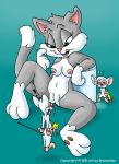 animaniacs brainsister cat furry grey_fur pinky pinky_(warner_brothers) pinky_and_the_brain rita rita_and_runt_(series) the_brain