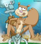 furry octopus sandy_cheeks sponge spongebob spongebob_squarepants squidward_tentacles squirrel team_touchdown team_touchdown_(artist) vaginal_penetration