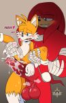 knuckles the echidna from sega by elpiratalaxmi