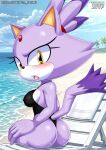 blaze the cat from mobius unleashed by bbmbbf