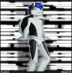  1_anthro 1_boy 1_male 1boy 2008 anthro anthro_canine anthro_only black_and_white blue_hair briefs canine fur furry hair looking_at_viewer male male_anthro male_only panties shiuk shiuk_(artist) solo solo_male standing tail tongue topless topless_anthro topless_male tundra_(oc) underwear wolf 