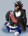 canine cum fox furry hyper knot male penis shadowsani_(artist) size_difference wolf yaoi