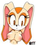 1girl breasts cream_the_rabbit darksonic250 furry marthedog sega solo sonic_(series) sonic_team