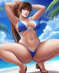 1girl alluring beach big_breasts bikini breasts cleavage dead_or_alive dead_or_alive_2 dead_or_alive_3 dead_or_alive_4 dead_or_alive_5 dead_or_alive_6 dead_or_alive_xtreme dead_or_alive_xtreme_2 dead_or_alive_xtreme_3 dead_or_alive_xtreme_3_fortune dead_or_alive_xtreme_beach_volleyball dead_or_alive_xtreme_venus_vacation female_only flowerxl human human_only kasumi kasumi_(doa) kunoichi looking_at_viewer palm_tree silf sky spread_legs squatting tecmo