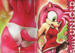  2008 absurdres amy_rose amy_untold ass cameltoe comic cover_page dress dress_lift erect_nipples furry green_eyes high_res highres panties skirt_lift sonic sonic_(series) sonic_the_hedgehog_(series) tc text underwear white_panties wind_lift 