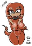 alpha_channel anthro bioware breasts canastus color echidna female nude sega shade_the_echidna