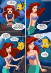 a_new_discovery_for_ariel comic disney fish flounder palcomix princess_ariel seashell_bra tagme the_little_mermaid