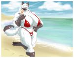  abs alcoholic_fruit_drink beach big_breasts bikini black_nose boosterpang boosterpang_(artist) breasts drink female flower furry golden_eyes huge_breasts iridium lime medic muscle muscles piercing pinkie_out pinky_out seaside skimpy solo squiggly_straw yellow_eyes 