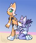blaze the cat from sega