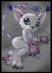 digimon feline fernando_faria_(artist) furry gatomon gloves tagme white_fur