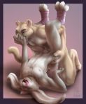  anal anal_penetration blue_eyes collar cougar couple cum cum_string feline furry gay interspecies kneeling lagomorph legs_up licking male open_mouth paws penetration penis puma rabbit sheath socks testicles tongue tongue_out yellow_eyes zen zen_(artist) 