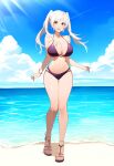 1girl alluring bare_legs beach big_breasts bikini blue_sky brown_eyes cleavage fire_emblem fire_emblem_awakening nightcore_(artist) nintendo ocean pin_up robin_(fire_emblem) robin_(fire_emblem)_(female) silver_hair