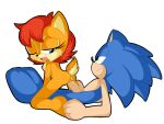 1boy 1girl anthro furry j_nsfw sally_acorn sega sex sonic_the_hedgehog sonic_the_hedgehog_(series)