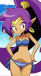 2025 bikini blue_and_white blue_and_white_bikini blue_bikini cocobandicoot31 deviantart grin half-genie hero looking_at_viewer purple_hair shantae shantae_(character) smile smiling_at_viewer swimsuit