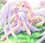 1girl angel_wings anklet bad_feet barefoot breasts feet grass hentai jewelry large_breasts legs long_hair ohno_tetsuya oono_tetsuya outdoors outside pink_hair please_teach_my_angel purple_eyes sitting solo very_long_hair wince wings