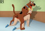 1boy 1futa all_fours anal anal_insertion anal_penetration anal_sex bestiality blonde_female blonde_hair blue_eyes blue_heels brown_fur cartoon_network dickgirl dog dog_ears dog_knot doggy_position futanari hanna-barbera kitchen male_on_futa moffoffo penis penis scooby-doo scooby-doo_(character) scooby-doo_on_zombie_island simone_lenoir tongue_out zoophilia