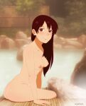 1girl 1girl 1girl angelyeah breasts high_resolution naruto naruto_(series) nude tagme tenten