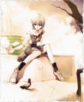 1girl absurdres bird blue_hair highres jpeg_artifacts neon_genesis_evangelion pigeon red_eyes rei_ayanami sadamoto_yoshiyuki school_uniform schoolgirl shoes sneakers solo uniform