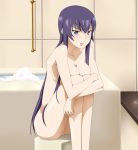 1girl bath bathroom blue_eyes blue_hair breasts busujima_saeko highschool_of_the_dead large_breasts leg_hug long_hair no_pussy nude ribonzu saeko_busujima solo