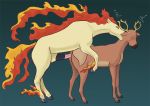  2014 antlers cervine deer doggy_position equine feral from_behind hetero horsecock huge_penis interspecies no_humans penis pokemon rapidash reindeer sex sheath stantler 