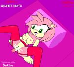 amy_rose dakina dakina_(artist) hellfire hellfire_(artist) sonic_(series) sonic_team stockings