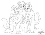  black_and_white canine cub dog erection gay jesse male masturbation monochrome penis sex wolfblade 