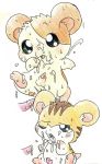  hamtaro male nelly_(artist) simple_background torahamu-kun white_background 