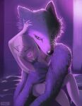 1girl absurd_res anthro beastars breasts canid canine canis digital_media_(artwork) duo fur furry haru_(beastars) high_res lagomorph legoshi_(beastars) leporid light lighting male male/female mammal nozabii rabbit romantic_couple wolf