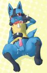  lucario male nintendo okunawa pokemon 