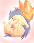 male pokemon tagme typhlosion