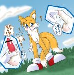 miles "tails" prower from sonic
