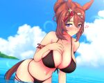 1girl animal_ears bare_shoulders big_breasts bikini black_bikini blue_eyes blue_sky blush braid breasts brown_hair cleavage closed_mouth cloud collarbone commentary_request hair_between_eyes hair_bun hand_on_own_chest high_res horse_ears horse_girl horse_tail long_hair looking_at_viewer multicolored_hair ocean pokapoka-sun sky smile streaked_hair super_creek_(umamusume) swimsuit tail umamusume umamusume_pretty_derby wading water white_hair