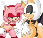 amy rose from sonic (series) by greymelon
