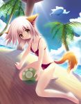 1girl animal_ears ball bikini blimp brown_eyes dirigible fox_ears fox_tail hentai kneeling palm_tree red_bikini see-through sky swimsuit tail transparent tree yamamoto_nori