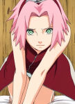 naruto naruto_shippuden sakura_haruno tagme