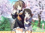 hakone from 120 yen stories