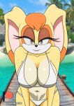 beach_background big_breasts bikini bikini_bottom bikini_top female_only looking_at_viewer pale_chest prezer0 sega sonic_(series) sonic_the_hedgehog_(series) vanilla_the_rabbit