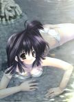  1girl ass bikini black_hair dengeki_moeoh dengeki_moeou hentai highres partially_submerged rock rocks short_hair solo submerged swimsuit yellow_eyes yuunagi_futaba 