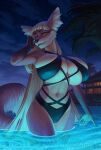 1girl big_breasts female fox furry