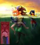 1girls 2boys amy_rose anthro beach cheating cock dgemporium dick female hedgehog heterosexual male male/female male_on_female males mobian mobians muscle muscles muscular ocean original_character penis seelkadoom sega sex sexy sonic sonic_(series) sonic_the_hedgehog sonic_the_hedgehog_(series) straight_sex tagme underwater