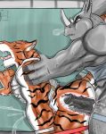 furry gay rhino tiger x-ray yaoi