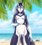  1girl 5_fingers absurd_res anthro areola ass aurora_the_artic_water_pokegirl beach beach_umbrella belly black_hair blue_areola blue_eyes blue_hair blue_nipples blue_nose blue_pussy bone breasts canid canine canis cloud cloudscape collar detailed_background fingers front_view fur furry gem genitals gesture gradient_hair hair high_res kot9n9 long_ears long_hair mammal medium_breasts multicolored_body multicolored_fur nails navel neck_tuft nipples original plant pointing portrait pussy sand sea seaside sky snout three-quarter_portrait tree tuft water wave white_belly wolf 