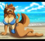 1girl 2016 anthro beach big_breasts bikini breasts bulge canine clothing dickgirl dog dracojeff furry german_shepherd hairpin heart intersex mammal navel pose sand seaside smile swimsuit