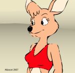  2007 akiacat_(artist) furry matilda_roo skippy:_adventures_in_bushtown 