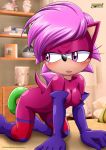 bbmbbf mobius_unleashed palcomix sega sonia_the_hedgehog sonic_(series) sonic_the_hedgehog_(series) sonic_underground