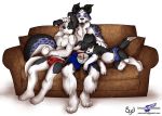  border_collie boxers briefs bulge cam_(wolfblade) canine couch cub dog furry jesse_(wolfblade) looking_at_viewer male muscle original plain_background roni simple_background sleeping underwear white_background wolfblade_(artist) young 