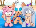 amy_rose aqua_eyes bat beach bikini blush bouncing_breasts breasts cleavage closed_eyes embarrassing female furry gray_hair green_eyes greymelon greymelon_(artist) hairband long_hair nipples pink_hair prank rouge_the_bat seaside sega shocked short_hair side-tie_bikini skimpy smile sonic string_bikini surprise swimsuit_thief text topless venus_the_hedgehog white_hair