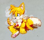  anthro canine cum fox knot male male_only miles_&quot;tails&quot;_prower multiple_tails penis sega silverfesh solo solo_male sonic_the_hedgehog_(series) tail 